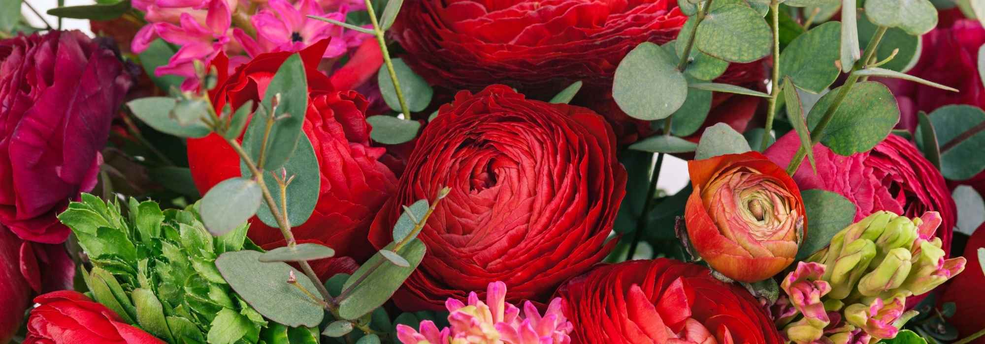 Quelles renoncules choisir pour composer de beaux bouquets maison ?