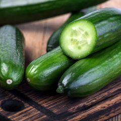 Concombre Marketmore 76 Bio - Vilmorin