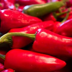 Piment d'Espelette - Piment Basque Gorria