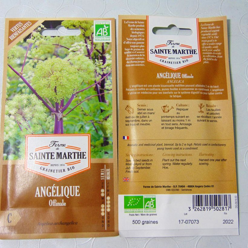Exemple de spécimen de Angélique officinale Bio - Ferme de Sainte Marthe le sachet de 400 graines environ (2g) tel que livré
