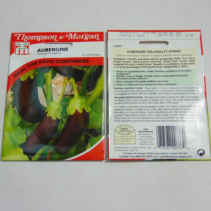 Exemple de spécimen de Aubergine Orlando - Solanum melongea le sachet de 6 graines environ tel que livré