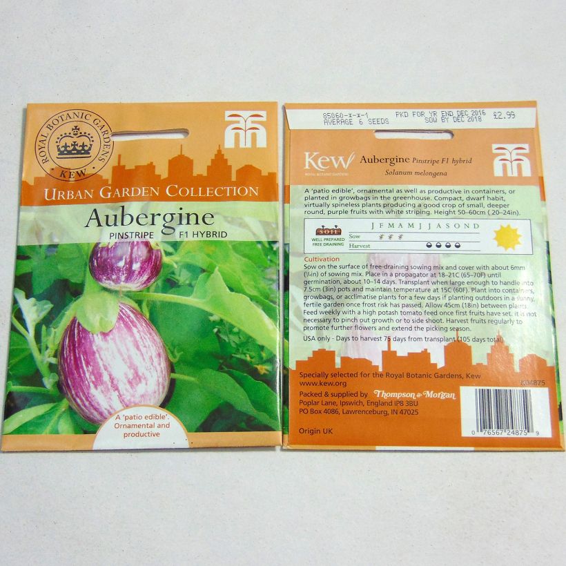 Example of Aubergine Pinstripe - Solanum melongea le sachet de 6 graines environ as you get
