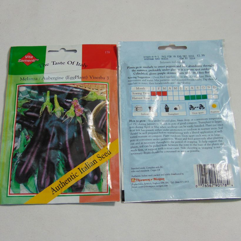 Example of Aubergine Viserba 3 - Solanum melongea le sachet de 660 graines environ as you get