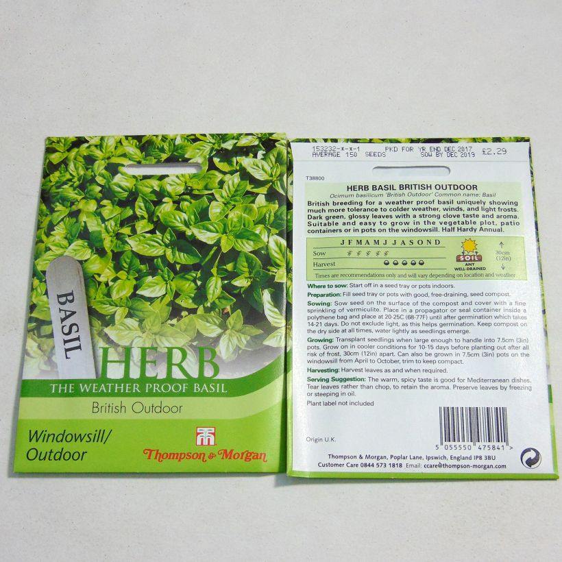 Exemple de spécimen de Basilic British Outdoor le sachet de 100 graines environ tel que livré