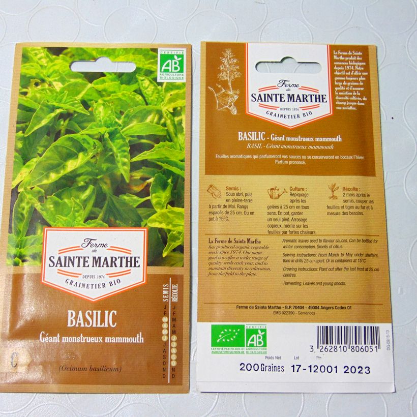 Exemple de spécimen de Basilic Géant Monstrueux Mammouth Bio - Ferme de Sainte Marthe le sachet de 150 graines environ (0.24g) tel que livré