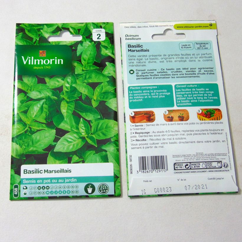 Exemple de spécimen de Basilic Marseillais (extrêmement parfumé) - Vilmorin le sachet de 800 graines environ (1g) tel que livré