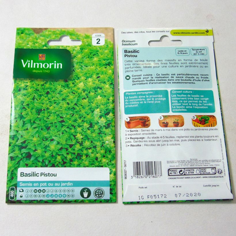 Exemple de spécimen de Basilic Pistou - Vilmorin le sachet de 800 graines environ (1g) tel que livré