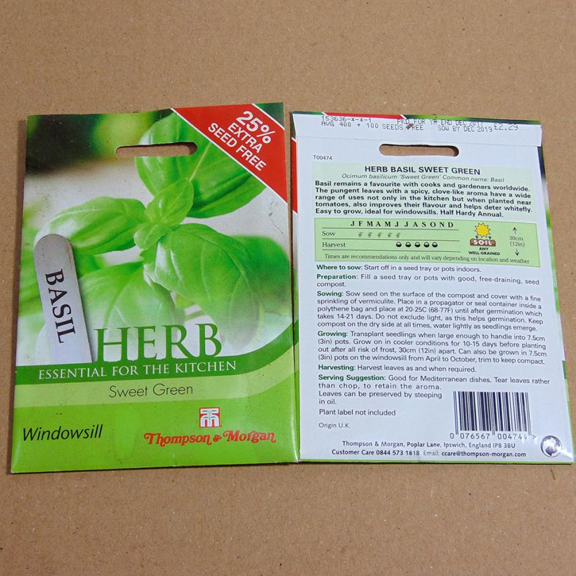 Exemple de spécimen de Basilic Sweet Green le sachet de 400 graines environ tel que livré