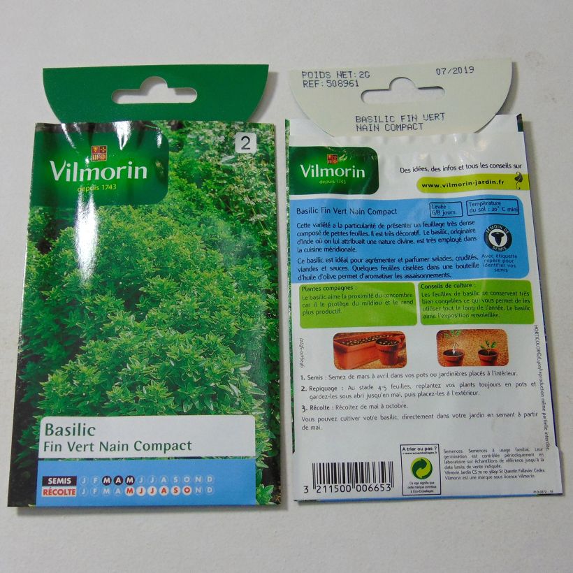 Exemple de spécimen de Basilic fin vert nain compact - Vilmorin le sachet de 1600 graines environ (2g) tel que livré