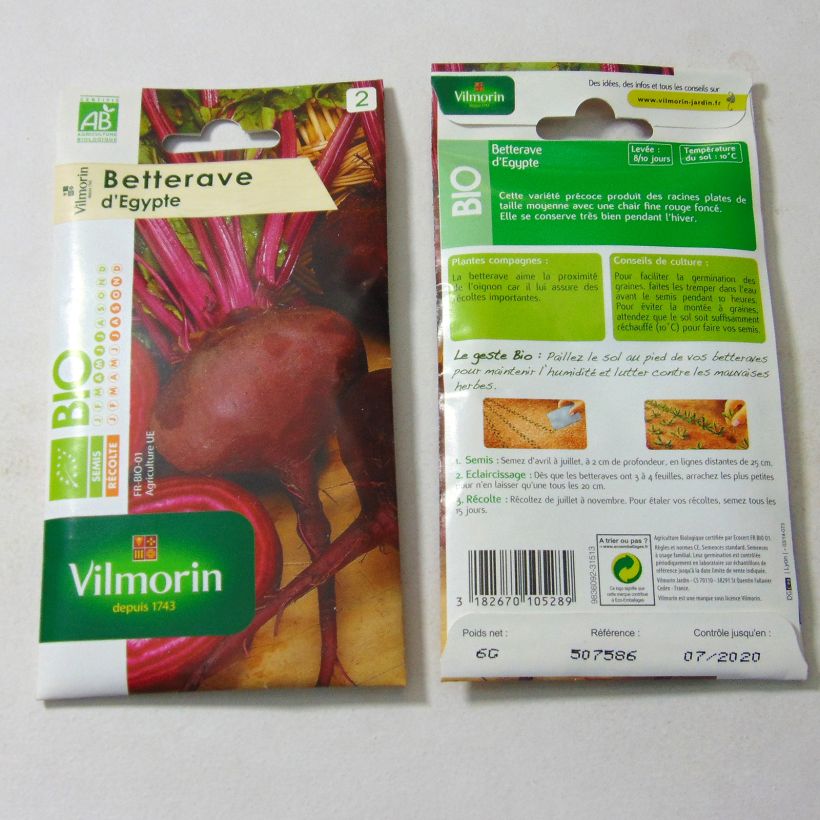 Exemple de spécimen de Betterave noire plate d'Egypte Bio - Vilmorin le sachet de 300 graines environ (6g) tel que livré