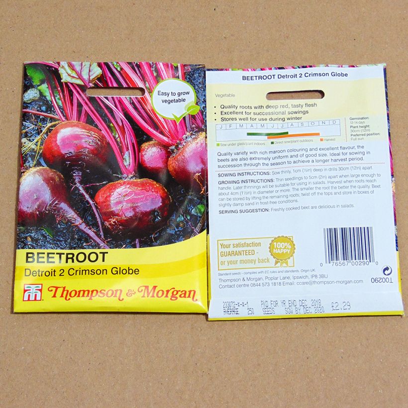 Exemple de spécimen de Betterave rouge Detroit 2 Crimson Globe - Beta vulgaris le sachet de 300 graines environ tel que livré