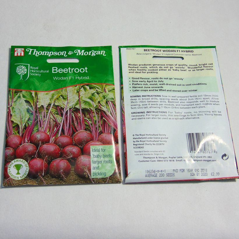 Exemple de spécimen de Betterave rouge Wodan F1 - Beta vulgaris le sachet de 200 graines environ tel que livré