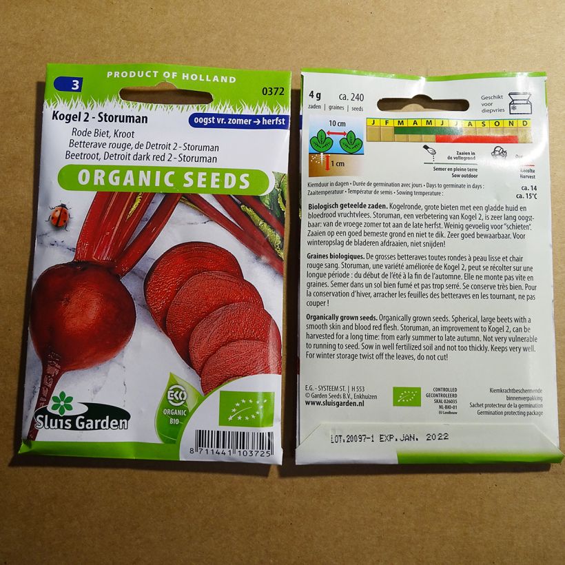 Exemple de spécimen de Betterave rouge de Detroit am. 2 - Storuman BIO le sachet de 240 graines environ (4g) tel que livré