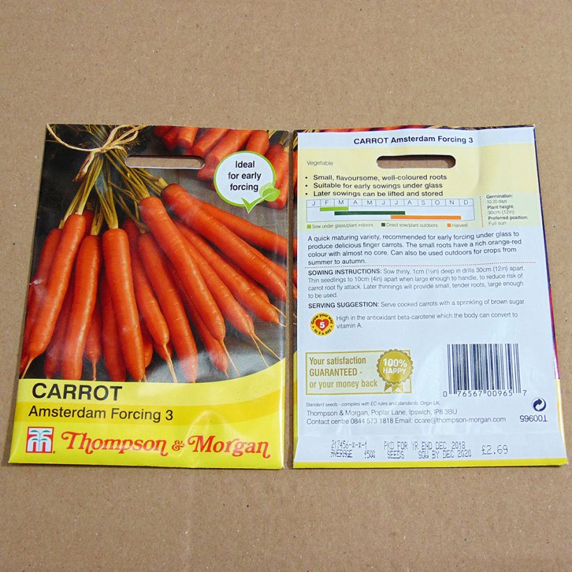 Exemple de spécimen de Carotte Amsterdam Forcing 3 - Daucus carota  le sachet de 2000 graines environ tel que livré