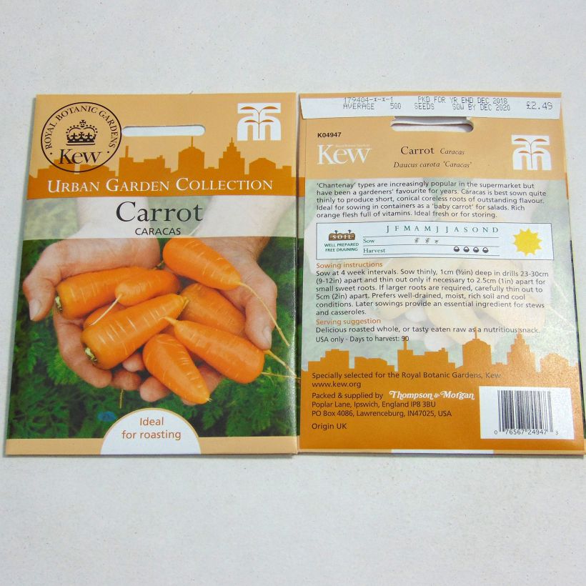 Exemple de spécimen de Carotte Caracas - Daucus carota  le sachet de 500 graines environ tel que livré