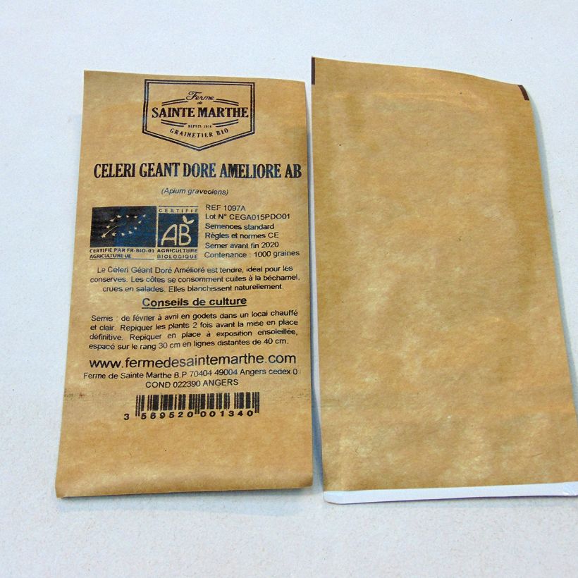 Exemple de spécimen de Céleri Géant Doré Amélioré NT - Ferme de Sainte Marthe le sachet de 2500 graines environ (3g) tel que livré