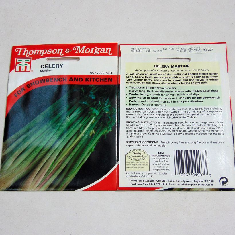 Exemple de spécimen de Céleri Martine - Apium graveolens le sachet de 100 graines environ tel que livré