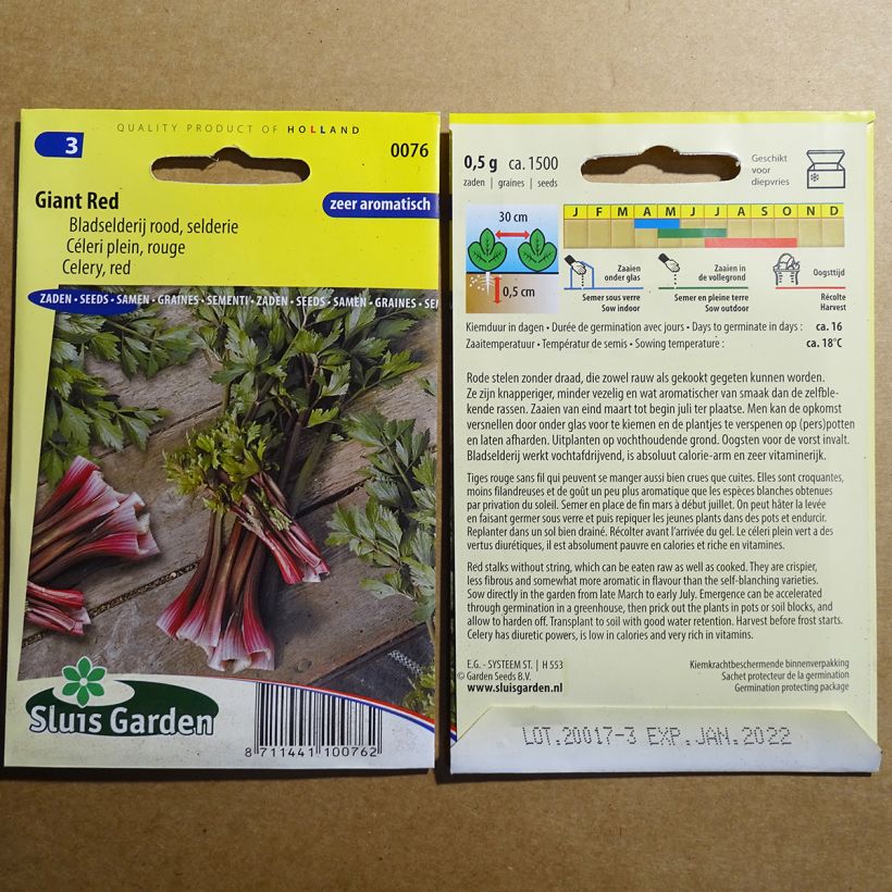 Exemple de spécimen de Céleri plein Giant Red - Apium graveolens le sachet de 1500 graines environ tel que livré