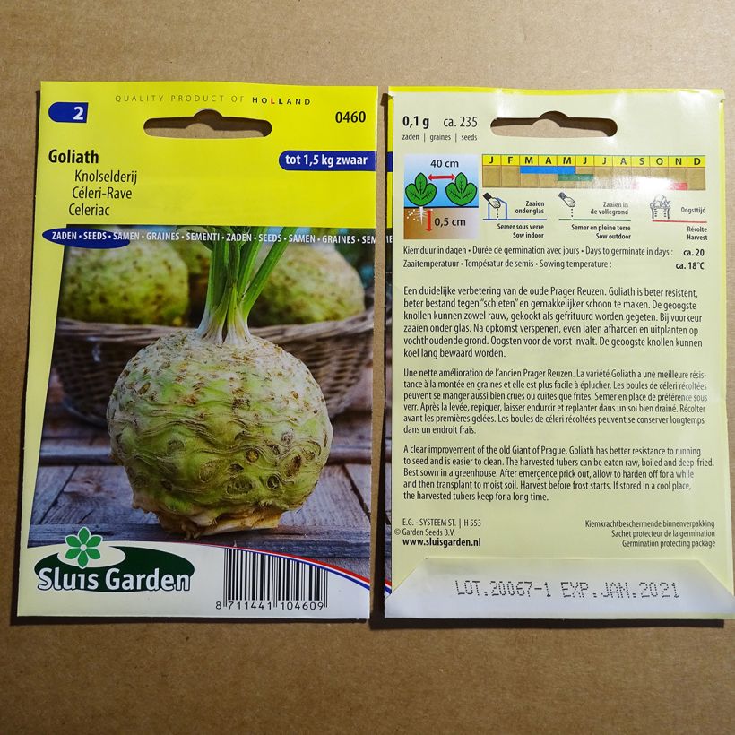 Exemple de spécimen de Céleri rave Goliath - Apium graveolens le sachet de 235 graines environ tel que livré