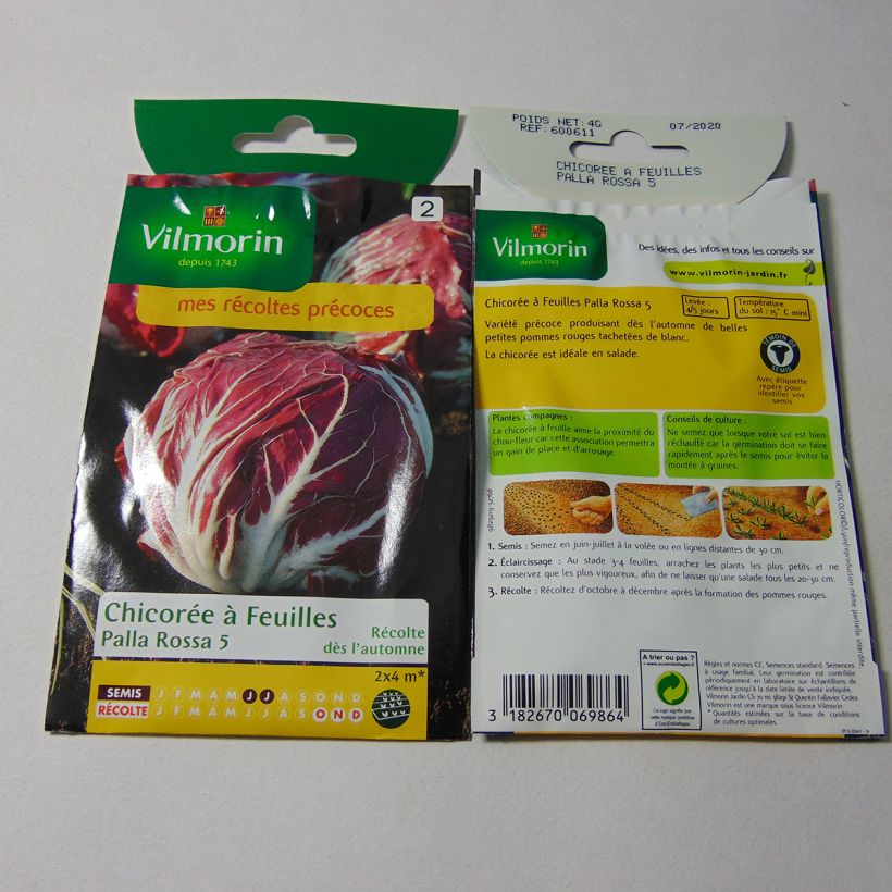 Exemple de spécimen de Chicorée à larges feuilles Palla Rossa - Vilmorin le sachet de 2400 graines environ (4g) tel que livré