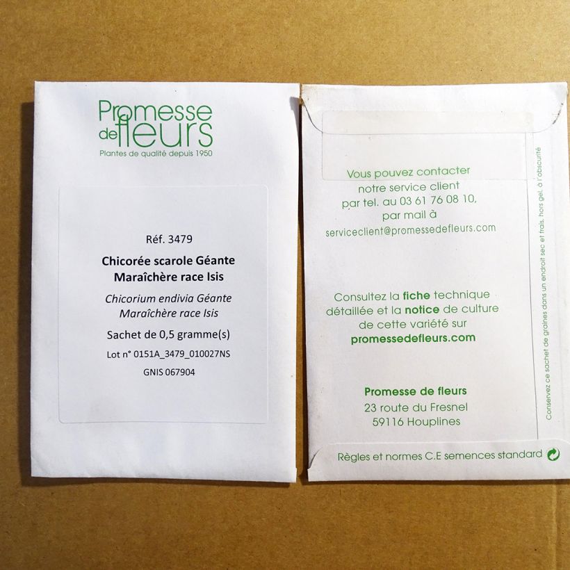 Exemple de spécimen de Chicorée scarole Géante Maraîchère race Isis  le sachet de 300 graines environ (0.5g) tel que livré