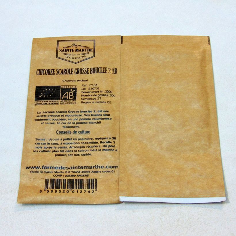 Exemple de spécimen de Chicorée scarole Grosse Bouclée 2 Bio - Ferme de Sainte Marthe le sachet de 500 graines environ tel que livré