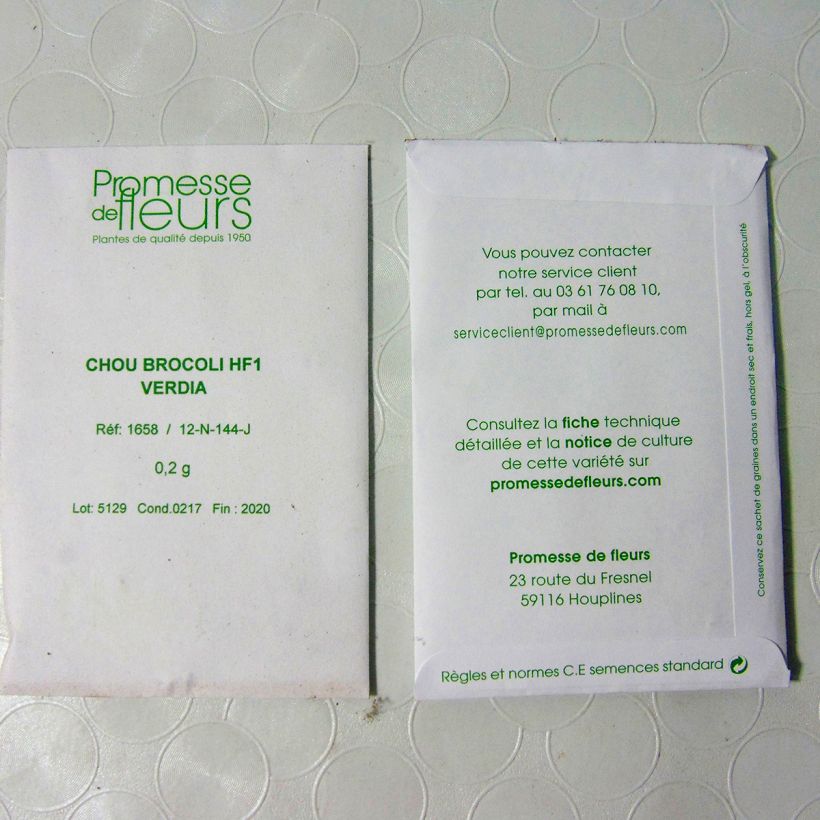 Exemple de spécimen de Chou Brocoli Verdia F1 le sachet de 100 graines environ (0.2g) tel que livré