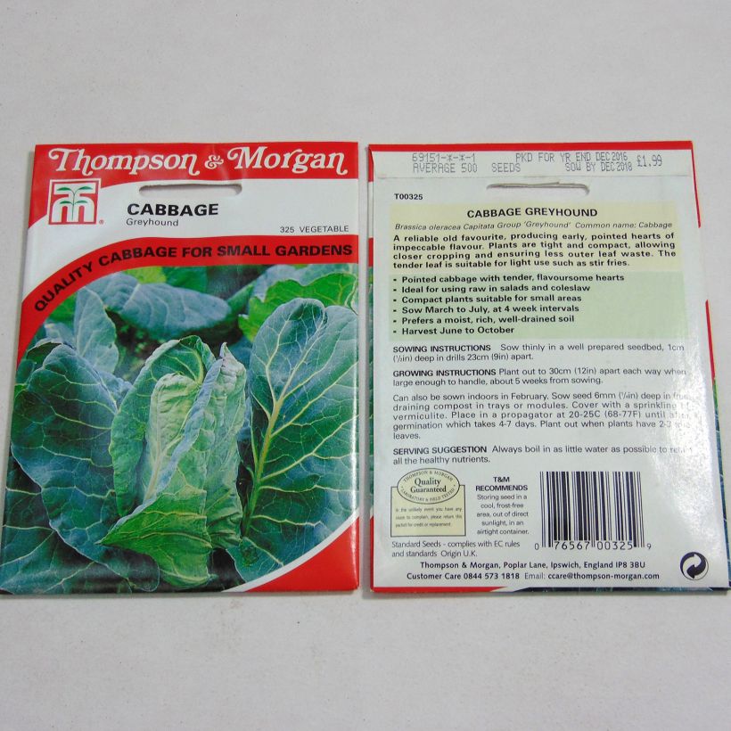 Exemple de spécimen de Chou Cabus Greyhound le sachet de 500 graines environ tel que livré