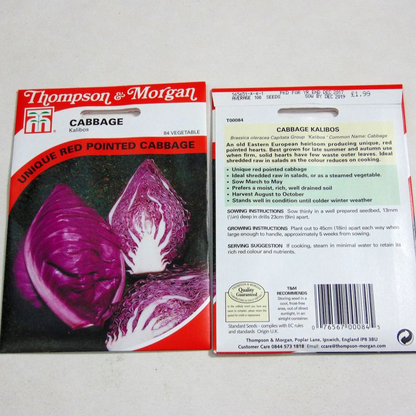 Exemple de spécimen de Chou Cabus Kalibos (Filderkraut) F1 le sachet de 100 graines environ tel que livré