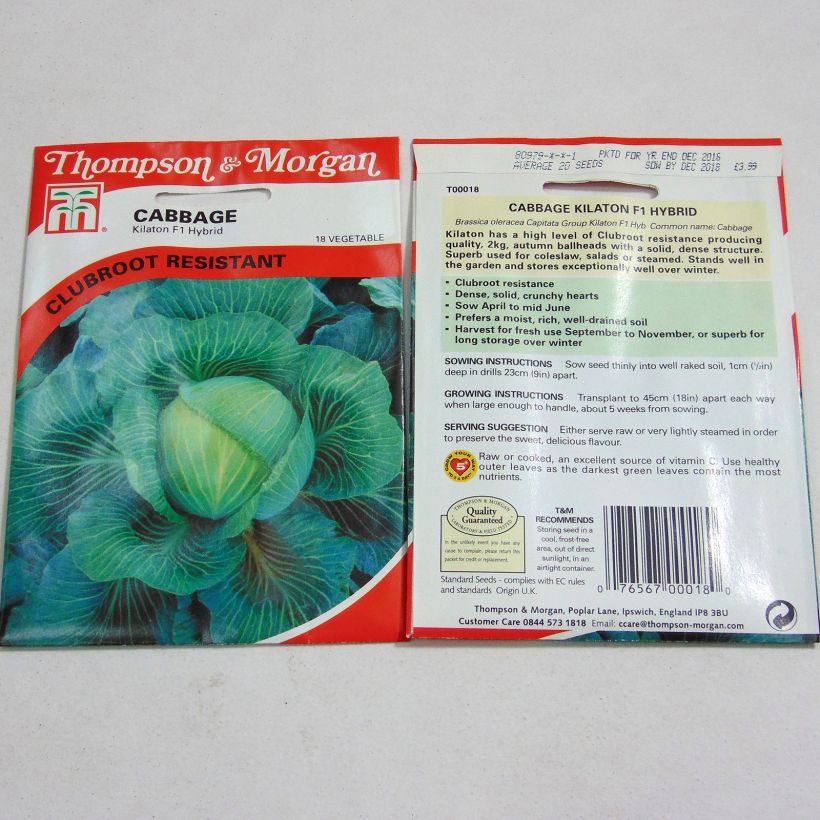 Exemple de spécimen de Chou Cabus Kilaton F1 le sachet de 20 graines environ tel que livré