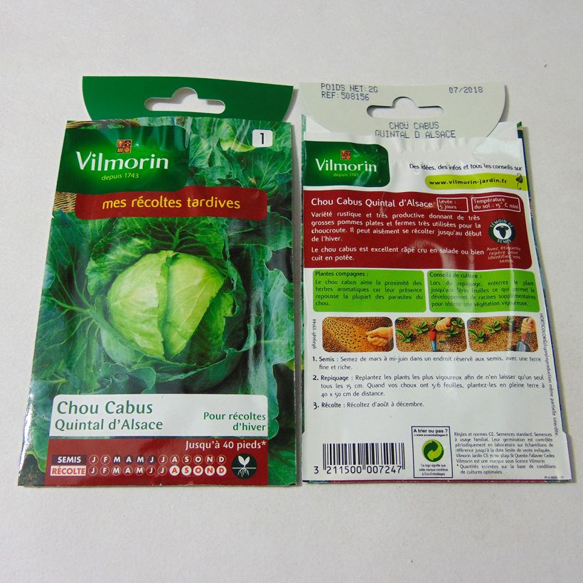Exemple de spécimen de Chou Cabus Quintal d'Alsace - Vilmorin le sachet de 800 graines environ (2g) tel que livré