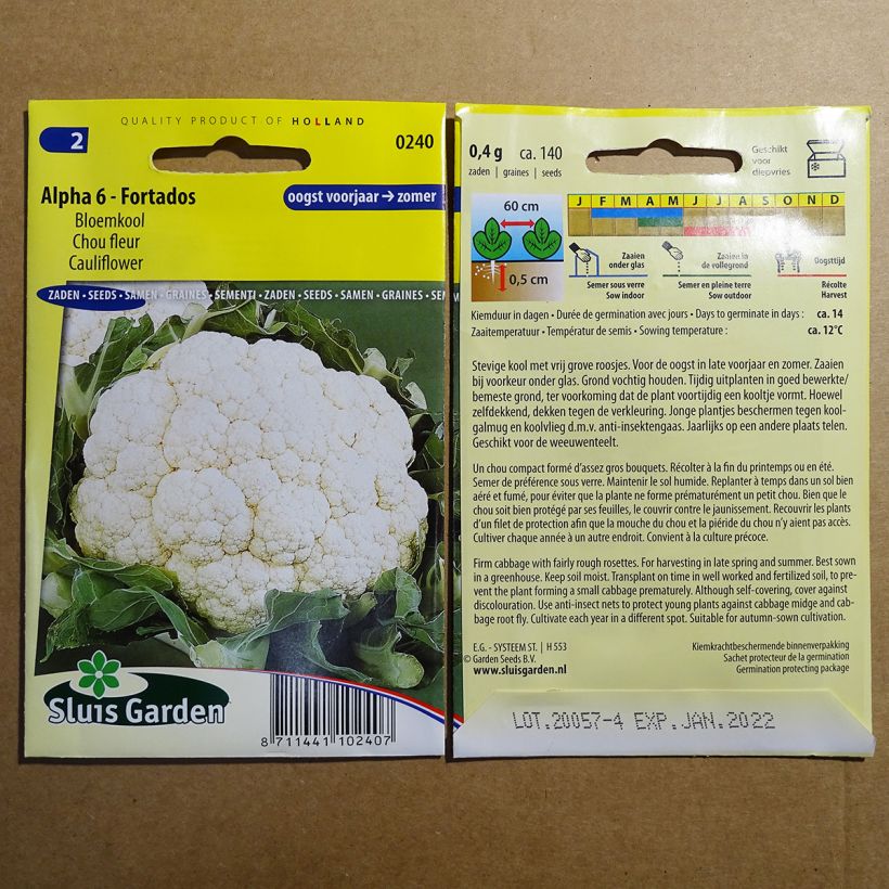 Exemple de spécimen de Chou-Fleur Alpha 6 - Fortados le sachet de 140 graines environ tel que livré
