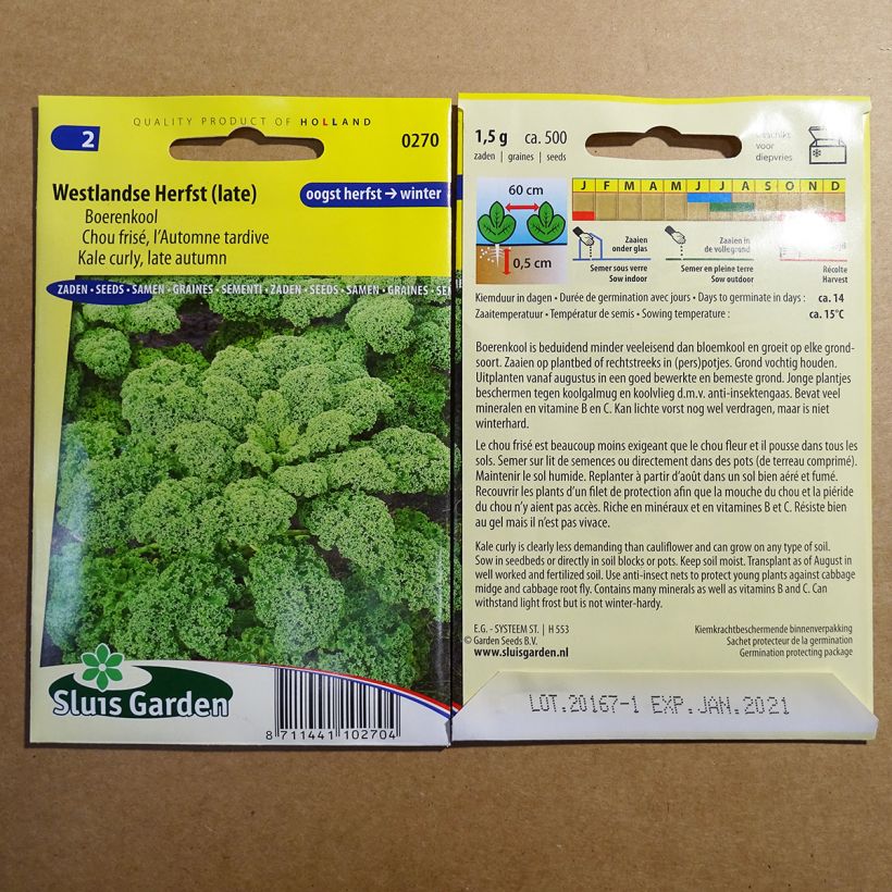 Example of Chou Frisé d'Automne tardif le sachet de 500 graines environ (1g) as you get