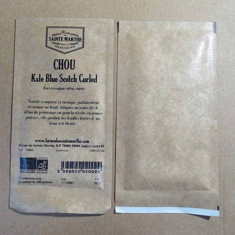 Exemple de spécimen de Chou Kale Blue Scotch Curled  le sachet de 250 graines environ (1g) tel que livré