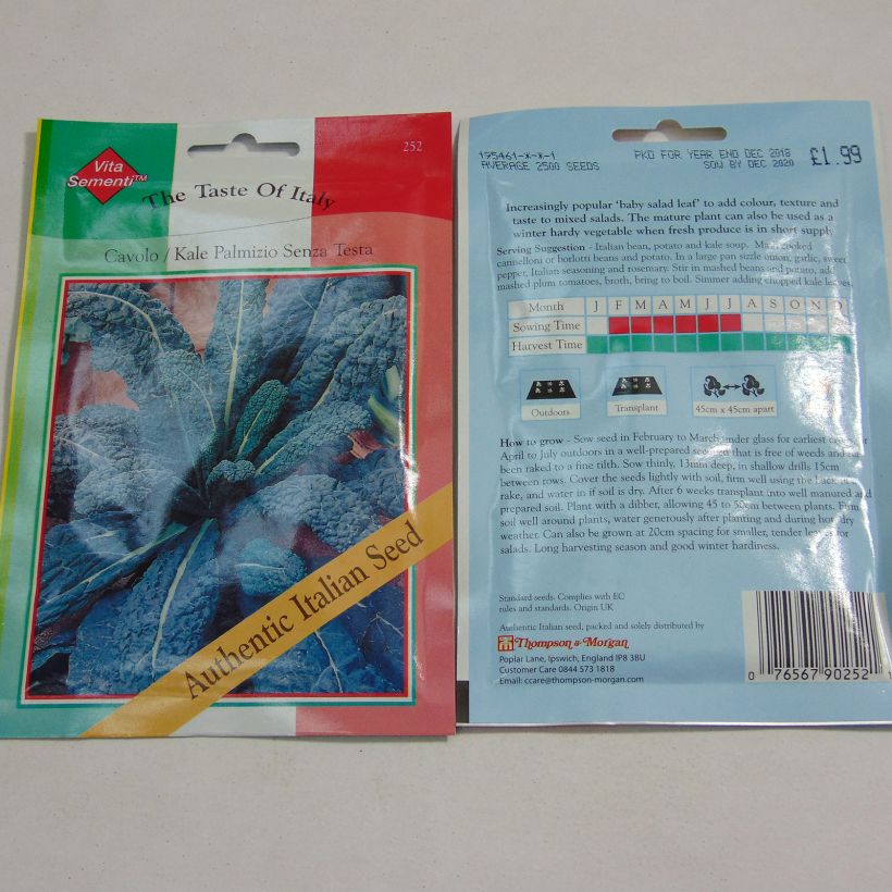 Exemple de spécimen de Chou Kale Il Cavolo Palmizio le sachet de 2500 graines environ tel que livré