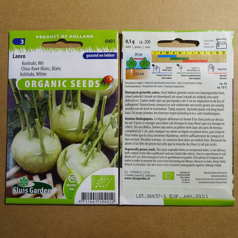 Exemple de spécimen de Chou-Rave Lanro Blanc Bio le sachet de 200 graines environ tel que livré