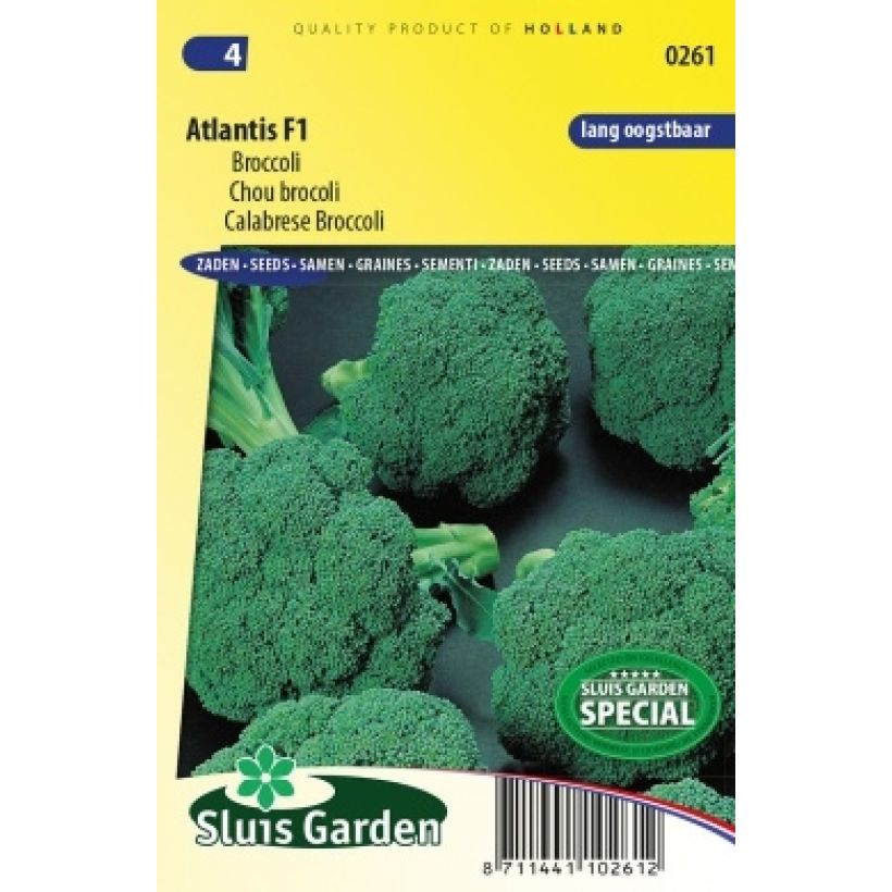 Exemple de spécimen de Chou brocoli Atlantis F1 NT Graines tel que livré