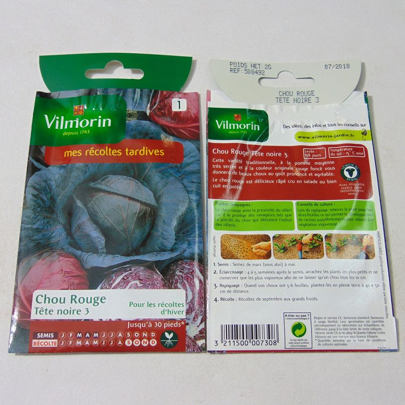 Exemple de spécimen de Chou cabus Tête noire 3 - Vilmorin le sachet de 800 graines environ (2g) tel que livré