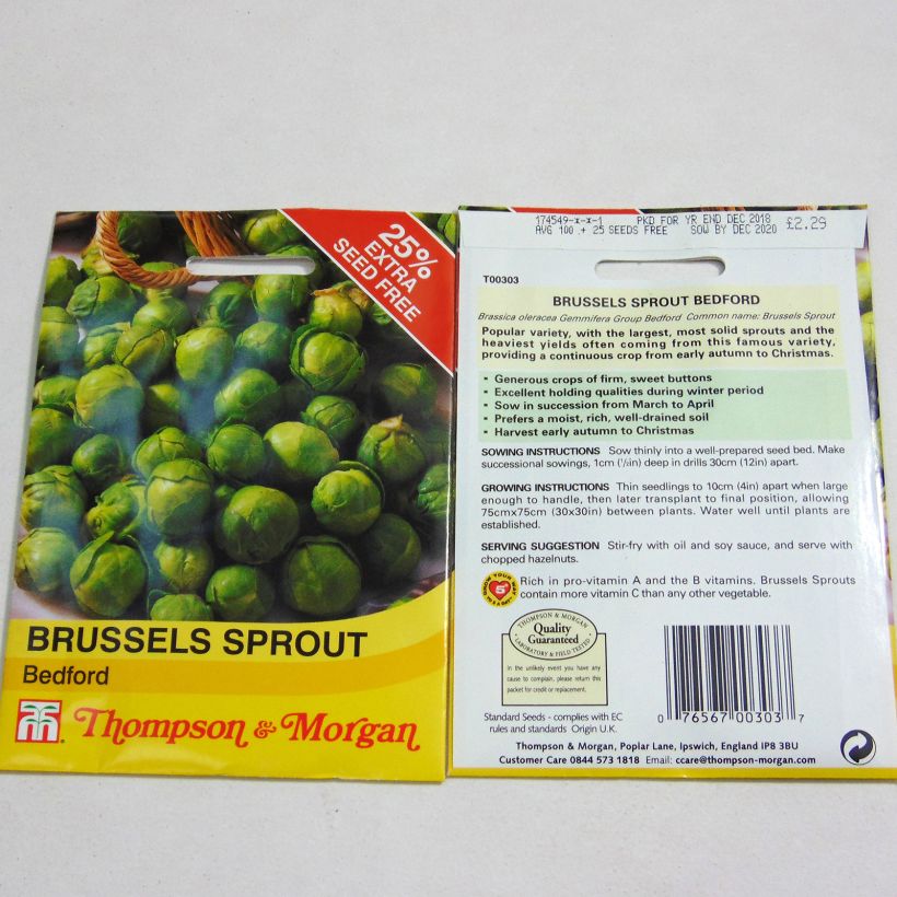 Exemple de spécimen de Chou de Bruxelles Bedford le sachet de 100 graines environ tel que livré