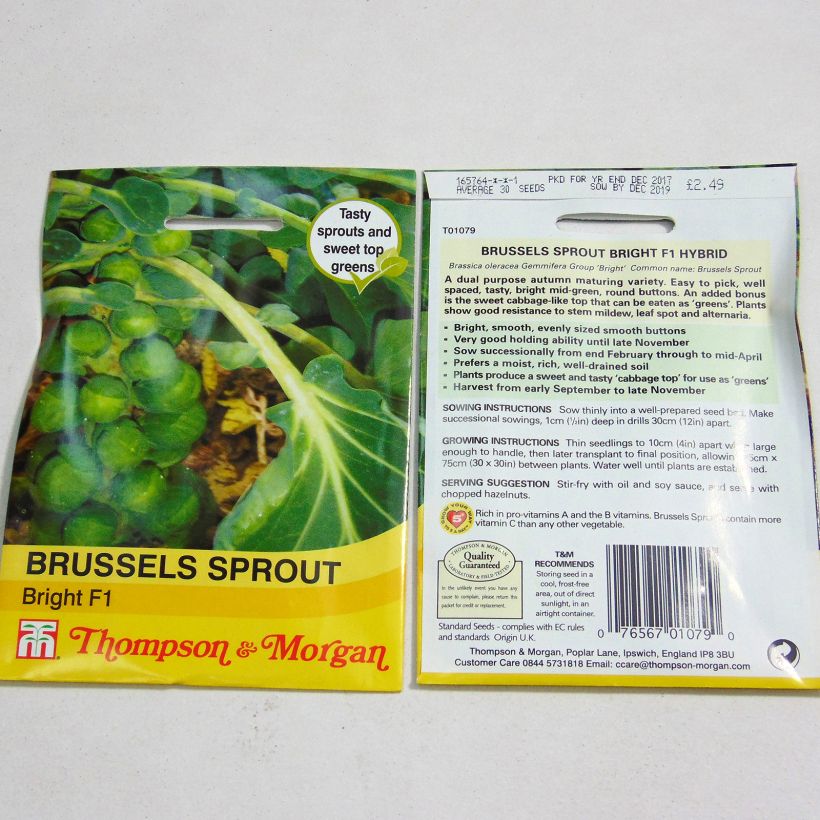 Example of Chou de Bruxelles Bright F1 le sachet de 30 graines environ as you get