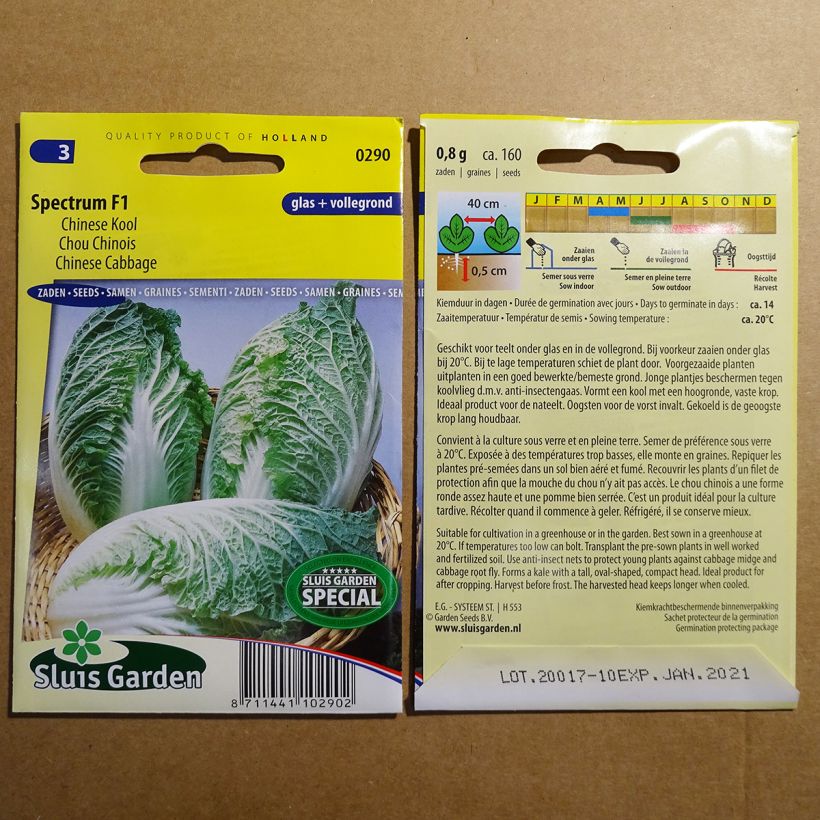Exemple de spécimen de Chou de Chine Pe Tsai Spectrum F1 le sachet de 160 graines environ tel que livré