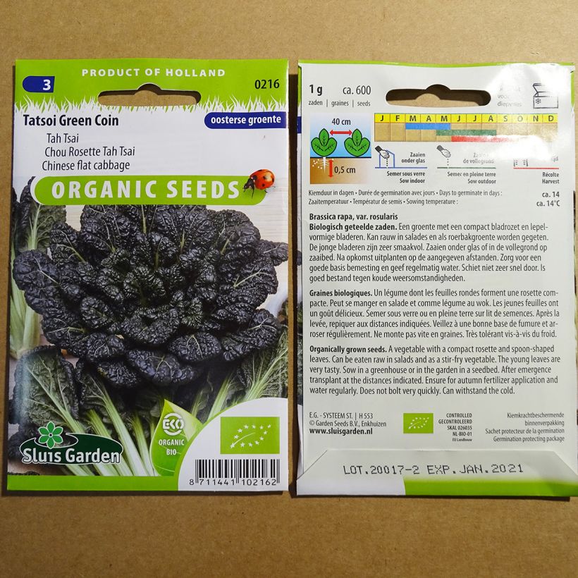 Exemple de spécimen de Chou de Chine Tah Tsai - Chou Rosette  le sachet de 400 graines environ (1g) tel que livré