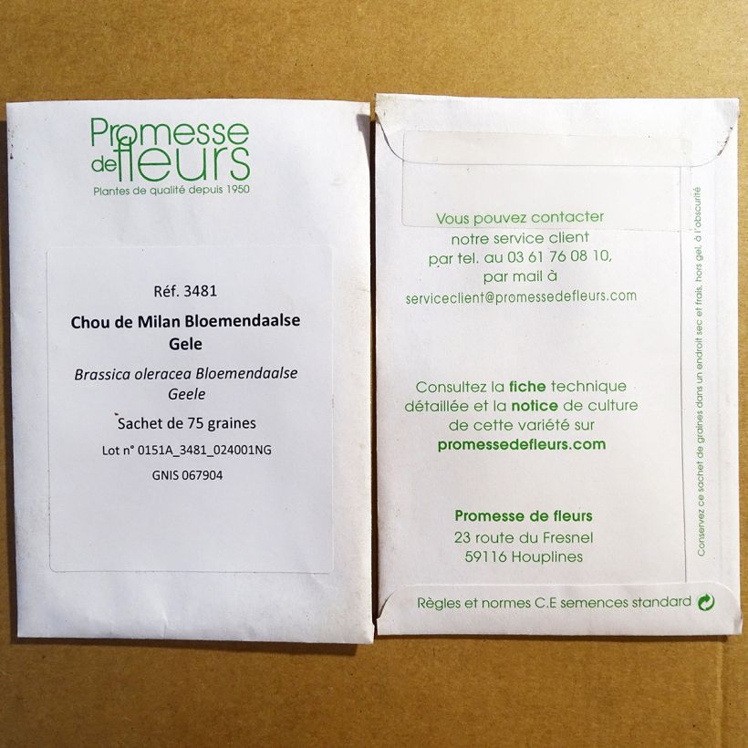 Example of Chou de Milan Bloemendaalse Gele  le sachet de 75 graines environ as you get