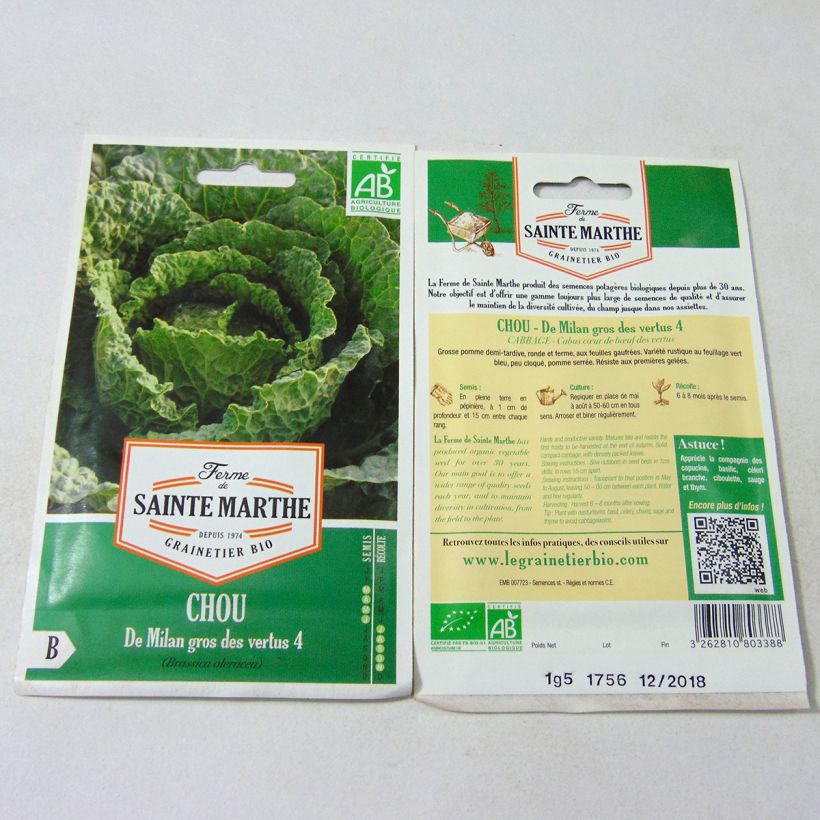 Exemple de spécimen de Chou de Milan Gros des Vertus 4  Bio - Ferme de Sainte Marthe le sachet de +/- 500 graines environ (minimum 2g) tel que livré