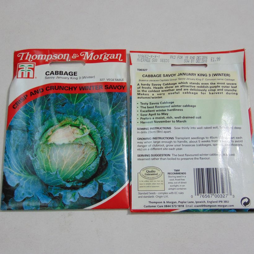 Example of Chou de Milan January King 3 le sachet de 500 graines environ as you get