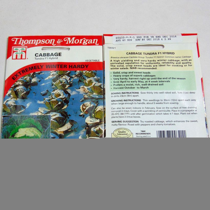 Example of Chou de Milan Tundra F1 le sachet de 40 graines environ as you get