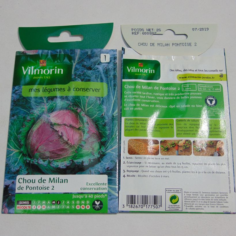 Example of Chou de Milan de Pontoise - Vilmorin le sachet de 1200 graines environ (2g) as you get