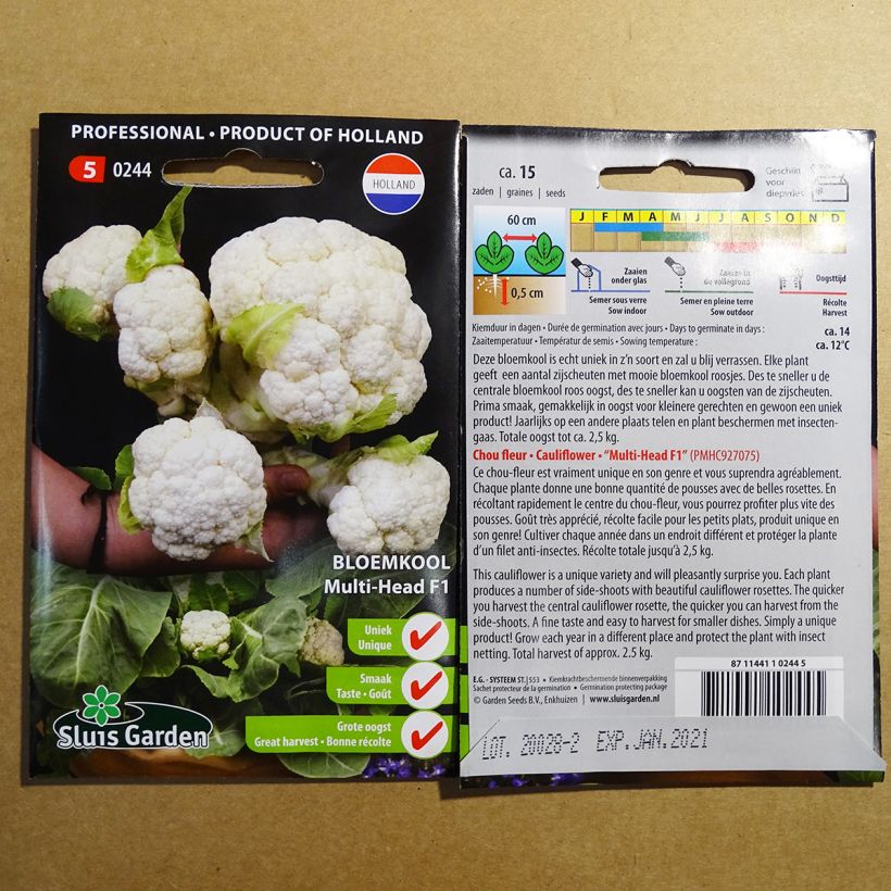 Exemple de spécimen de Chou-fleur Multi-head F1 le sachet de 15 graines environ tel que livré