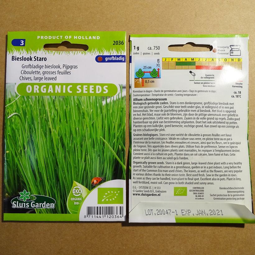 Example of Ciboulette Staro à grosses feuilles Bio le sachet de 750 graines environ (1g) as you get