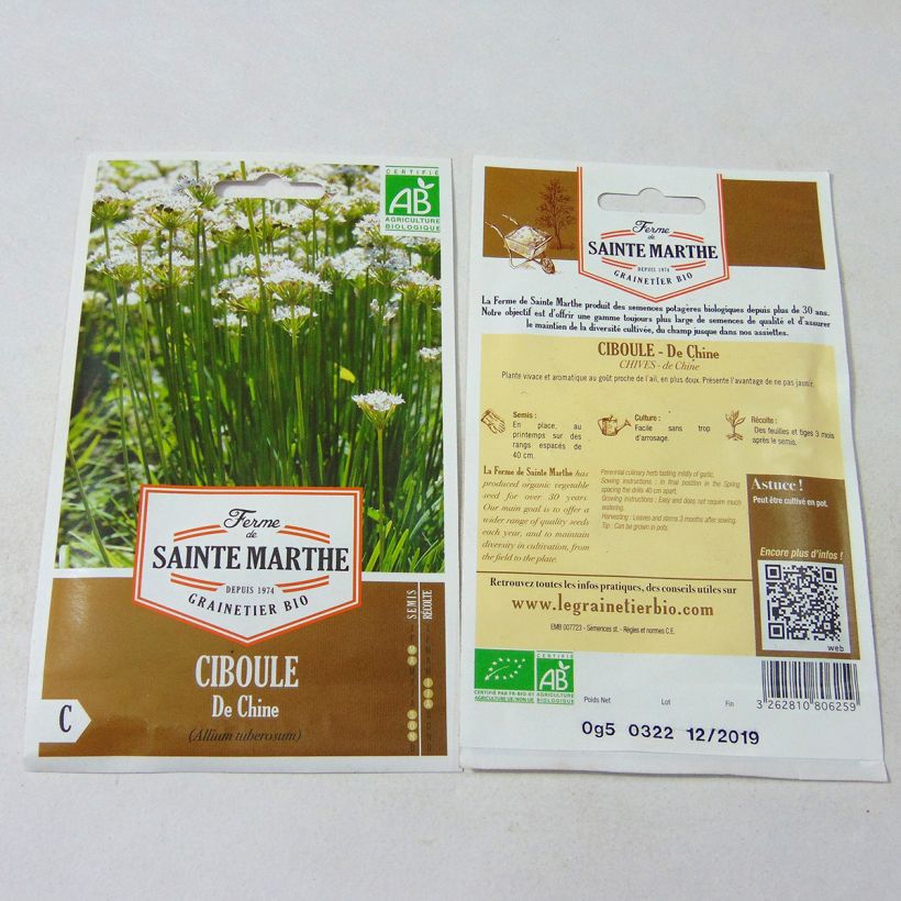 Exemple de spécimen de Ciboulette de Chine Bio- Ferme de Ste Marthe le sachet de 100 graines environ tel que livré